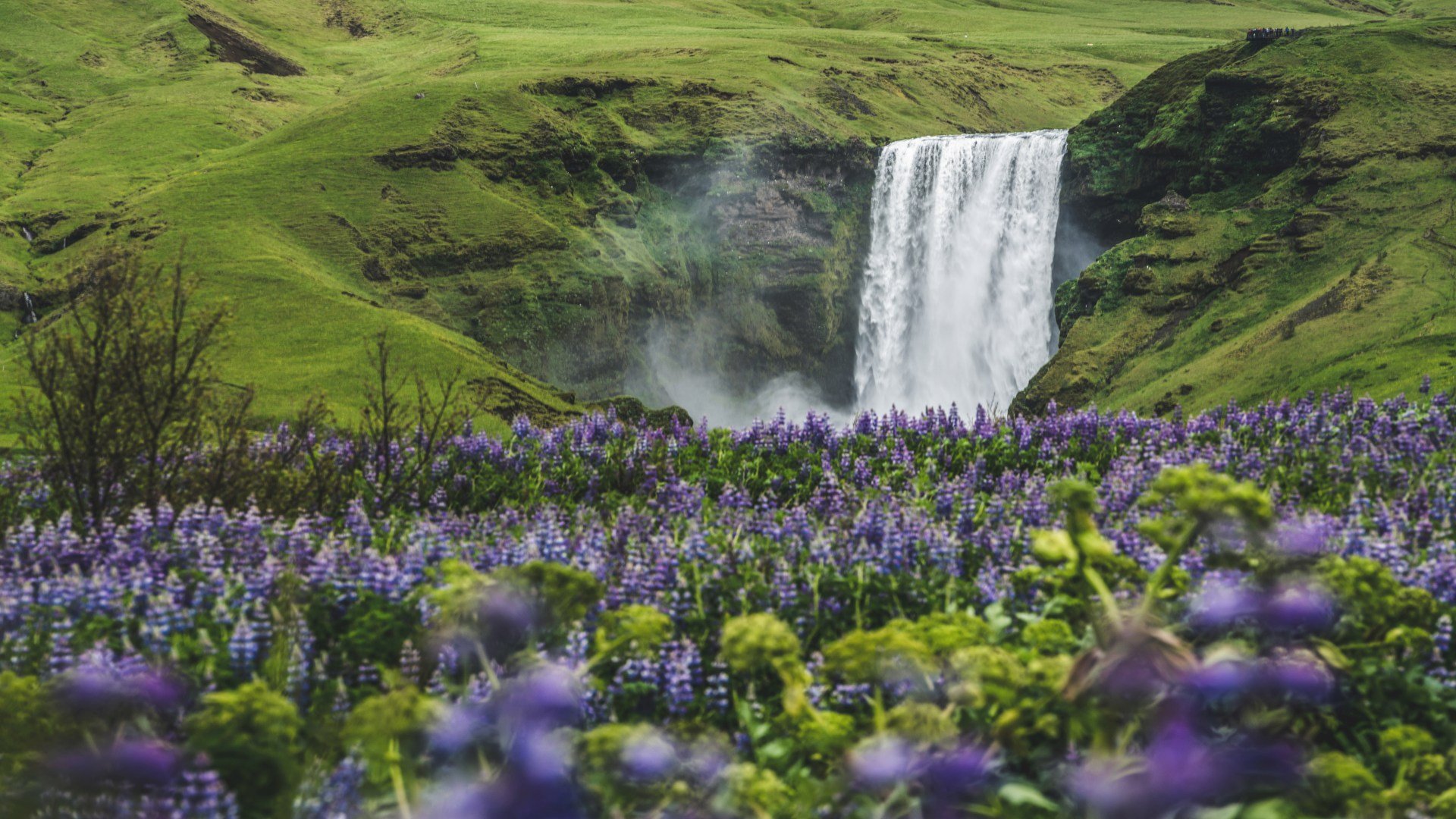 island_poster_istock_8