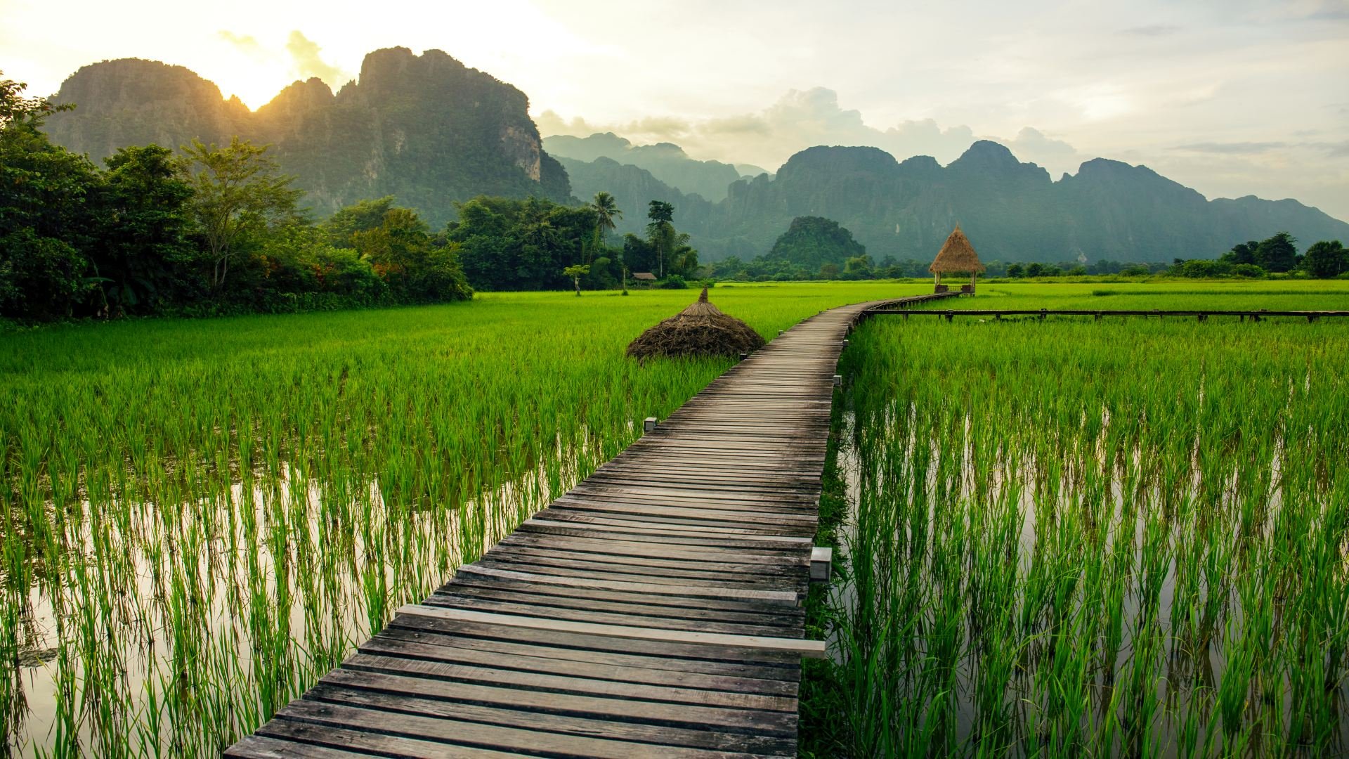 laos_poster_istock_9