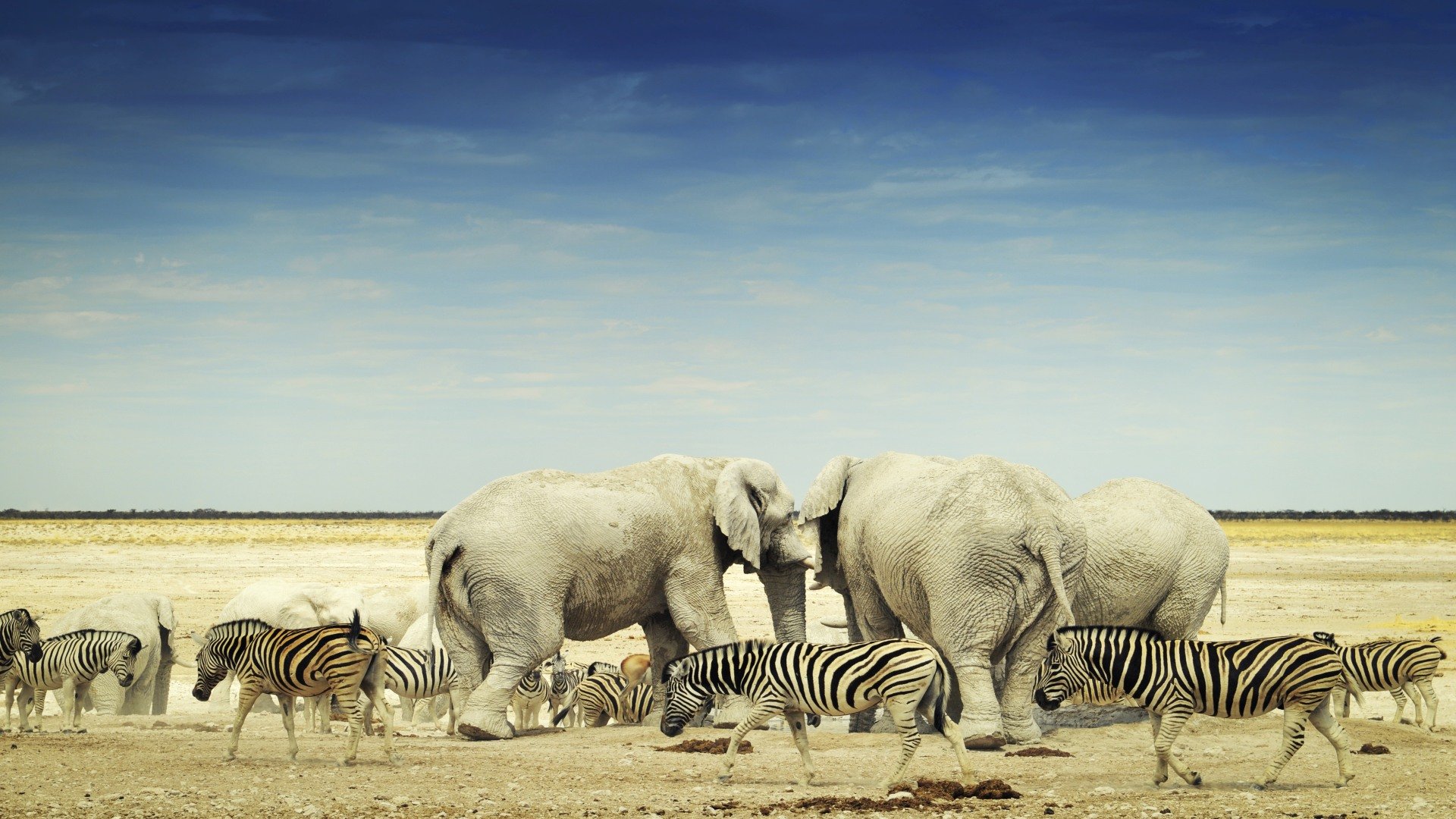 namibia_poster_istock_13