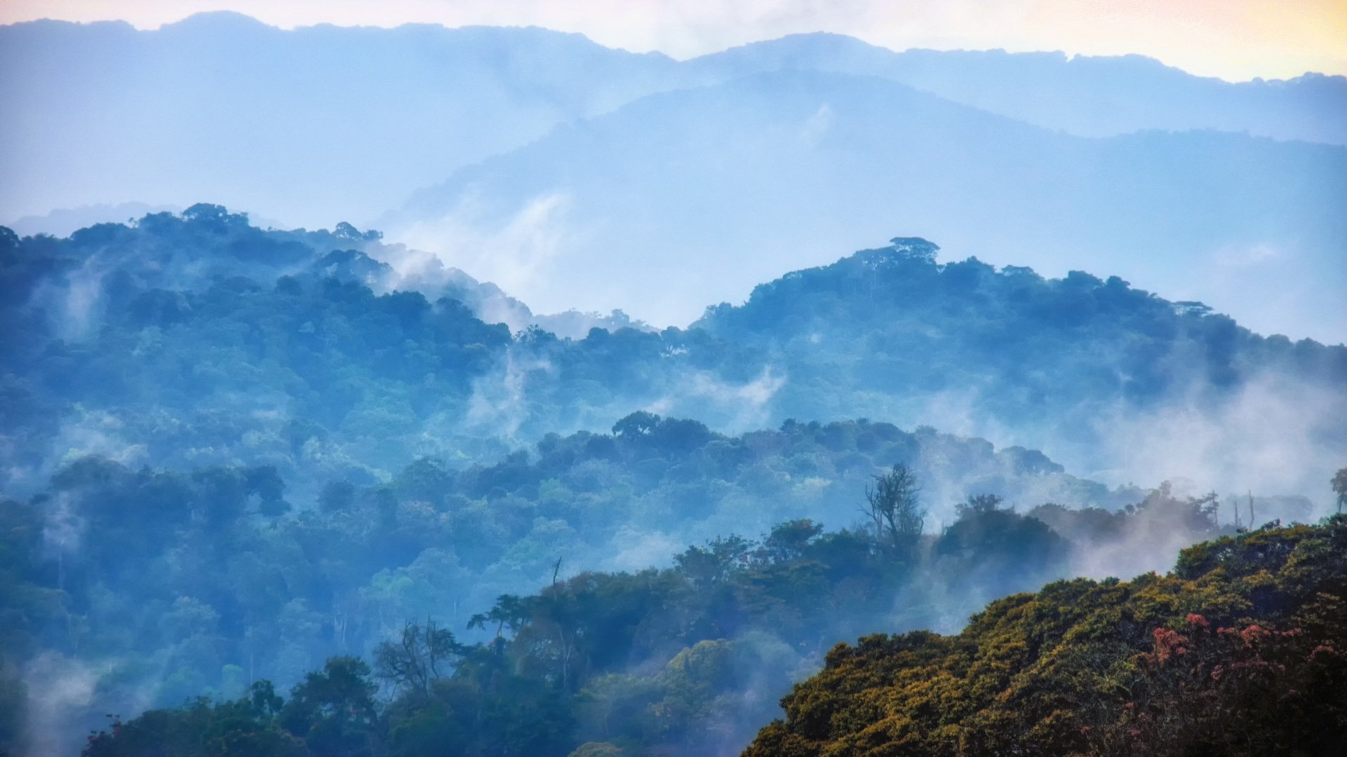 Nyungwe Nationalpark