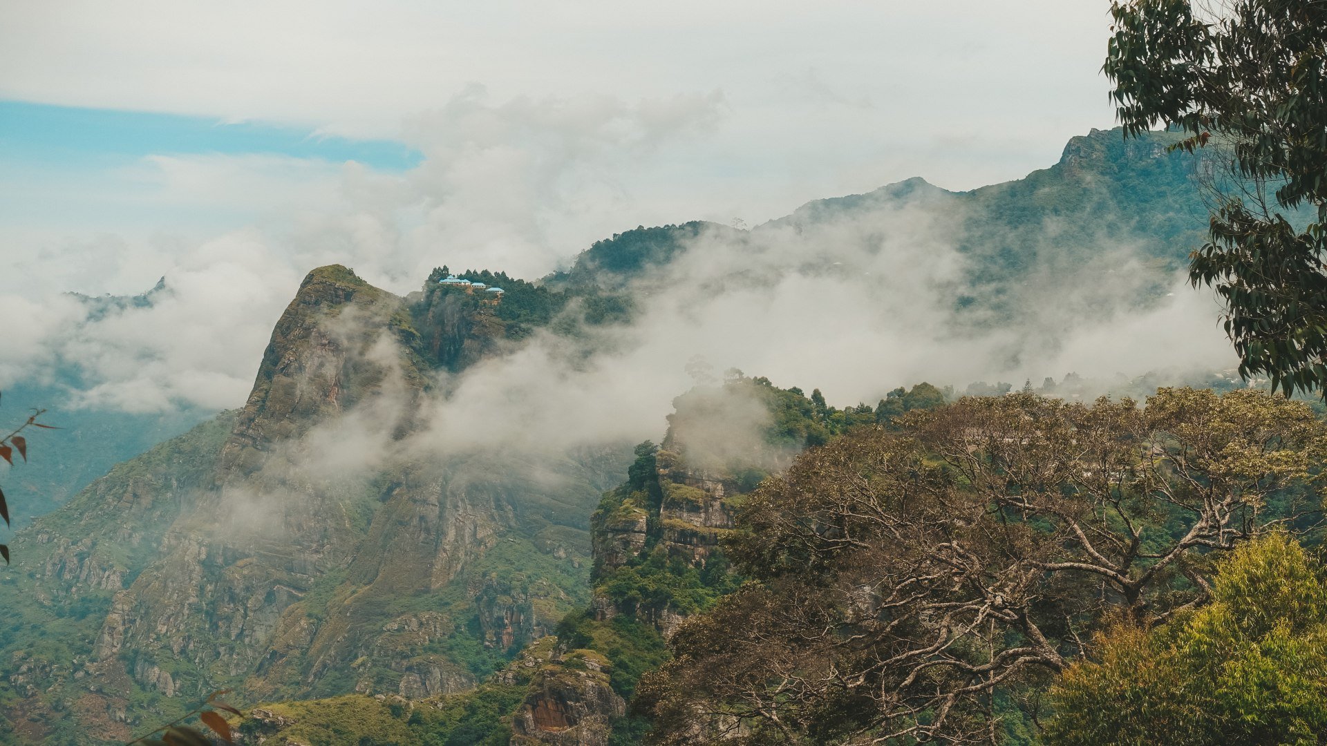 Usambara Mountains