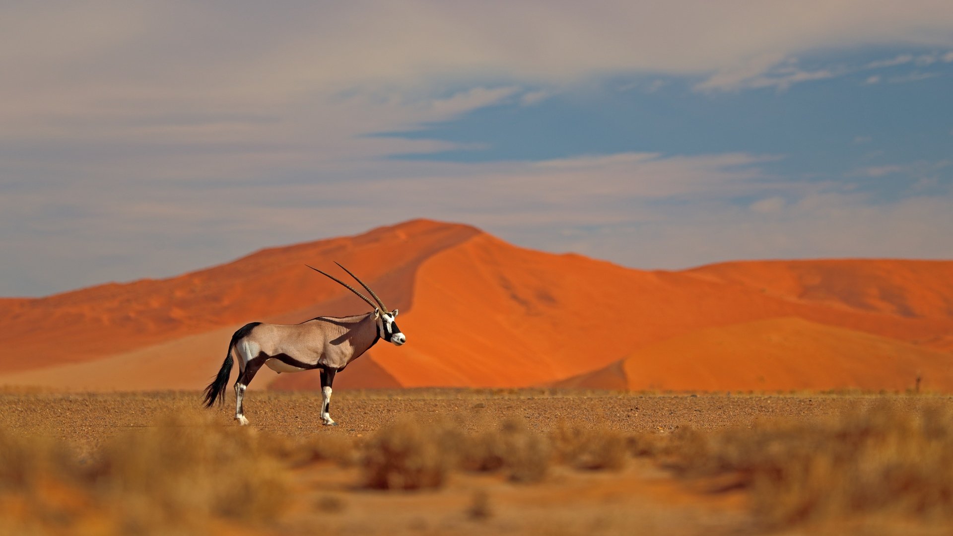 Sossusvlei