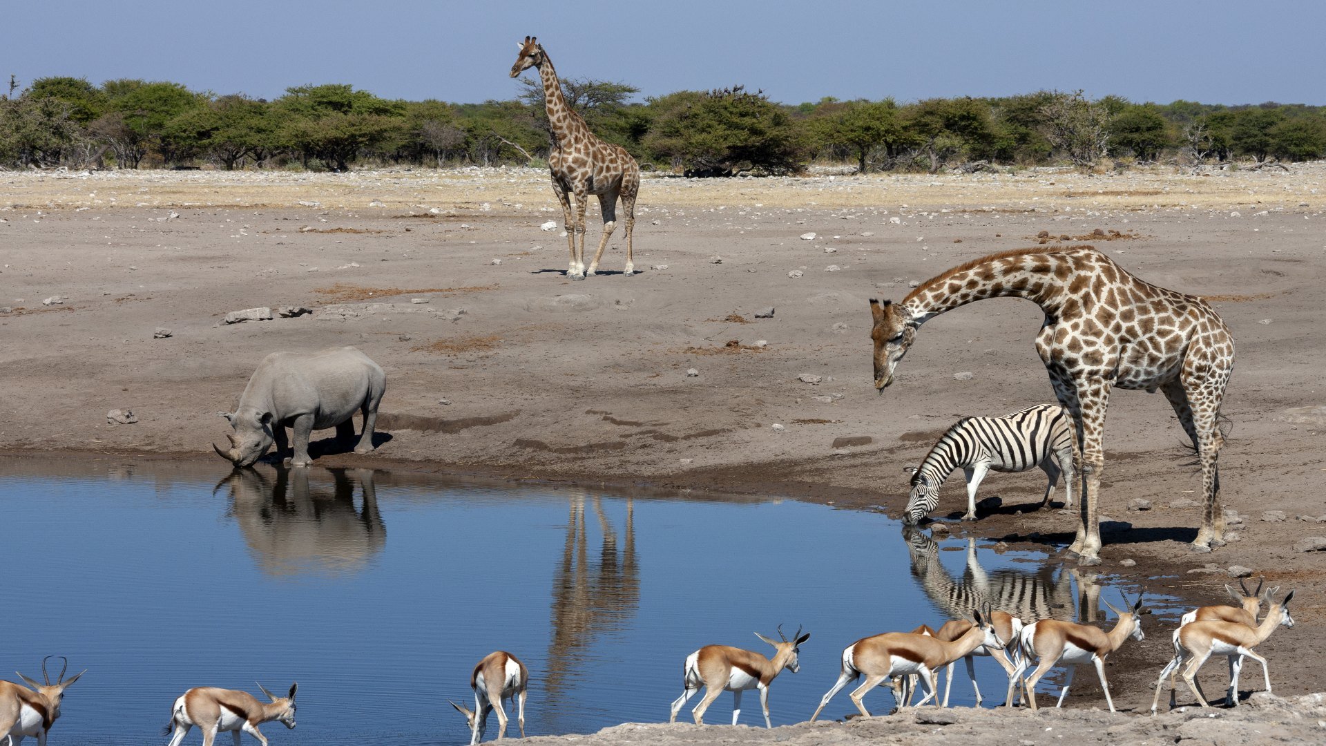 Etosha Nationalpark