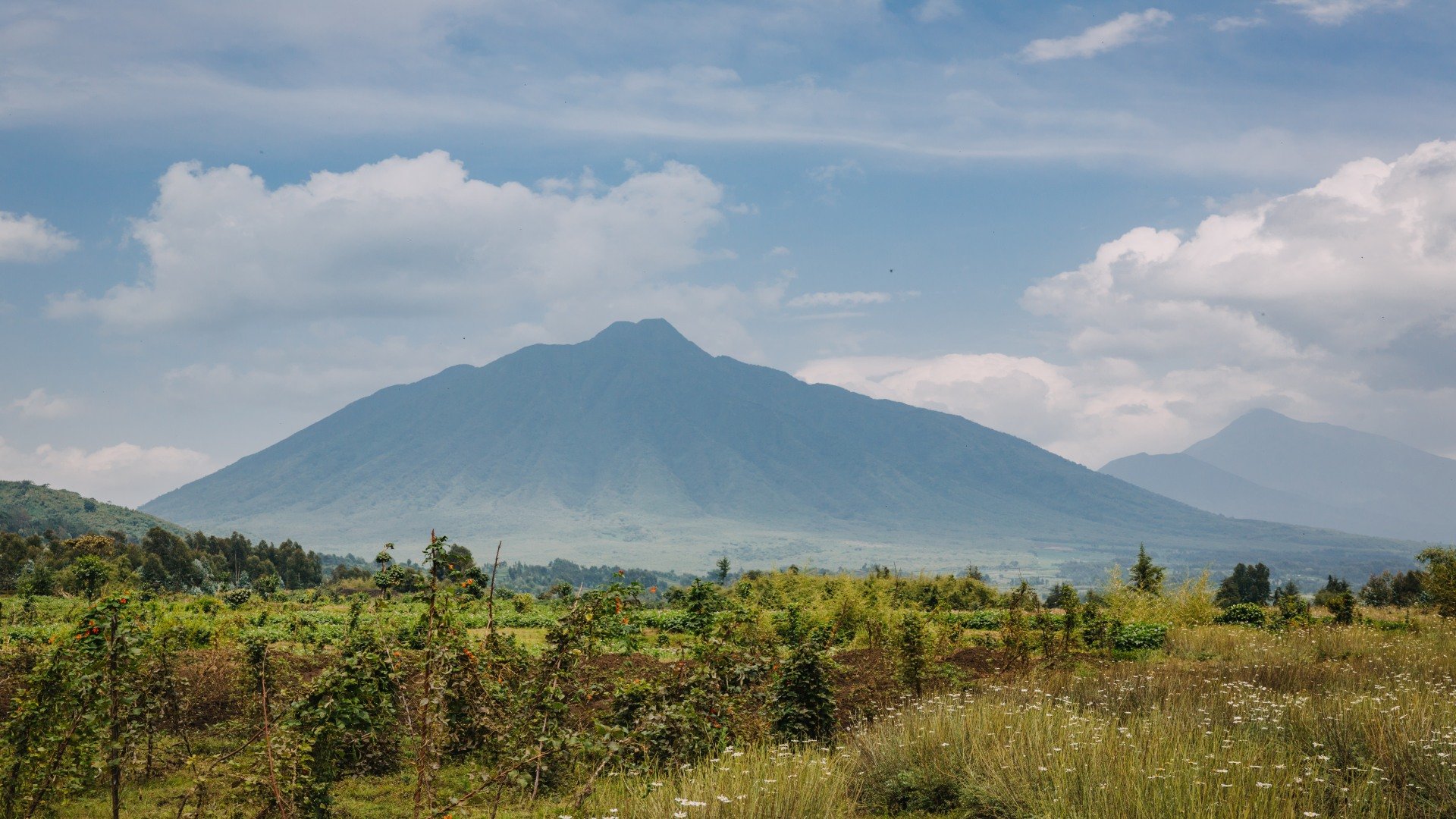 Ruhengeri