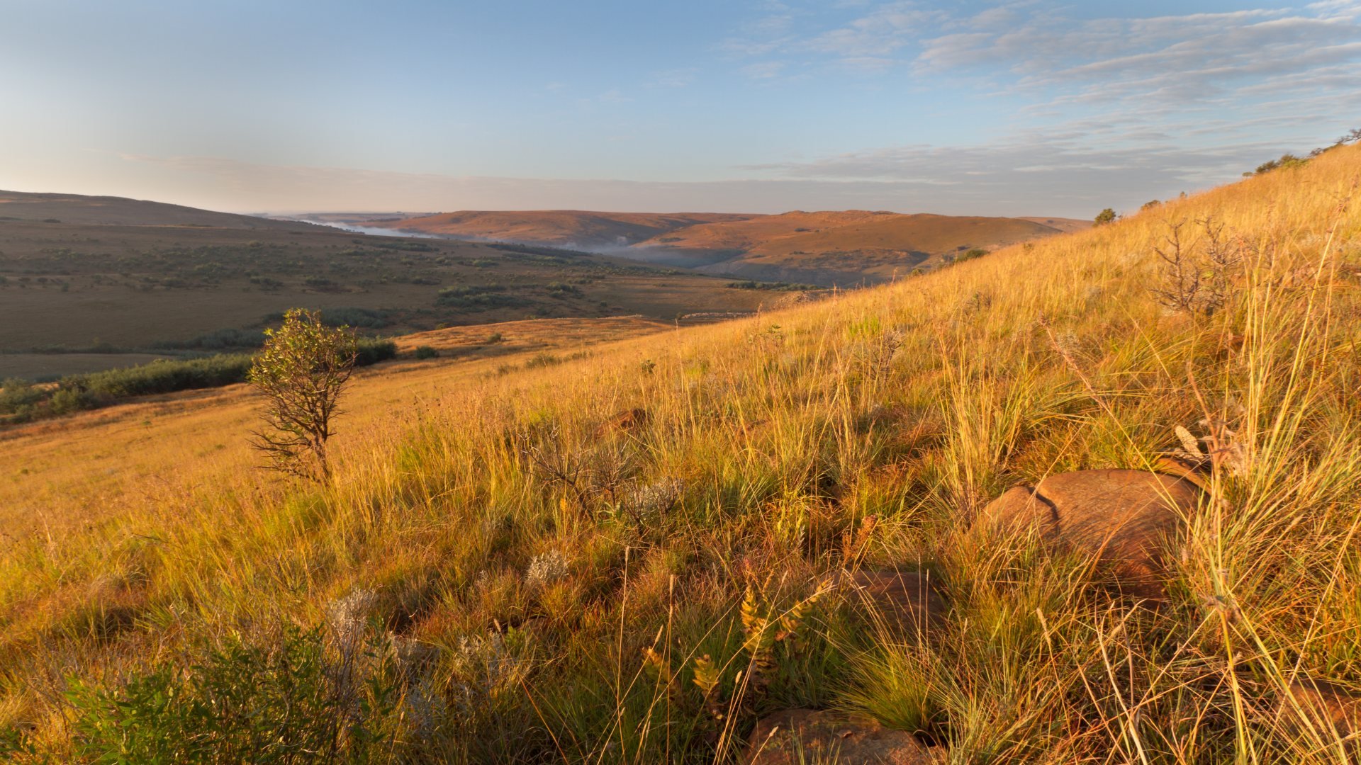 Dullstroom