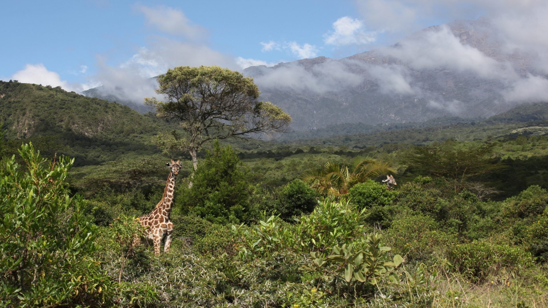 Arusha