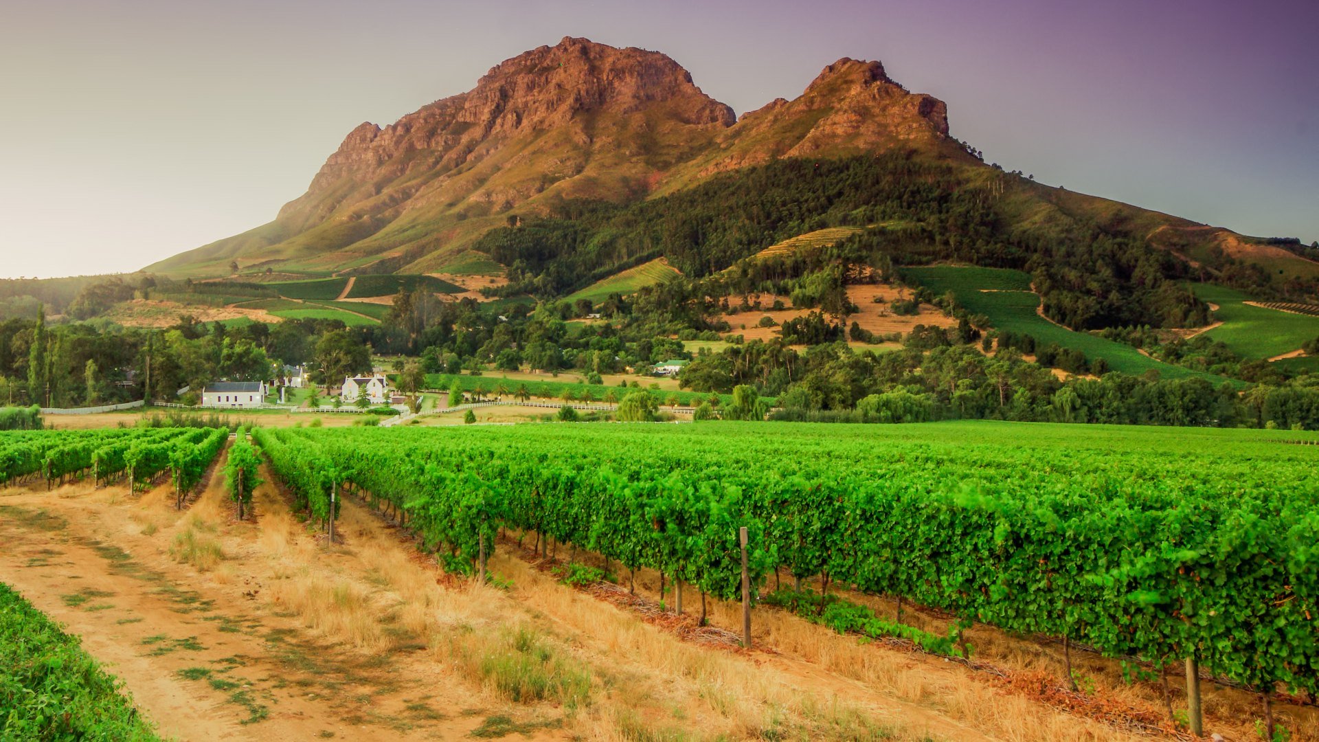Stellenbosch