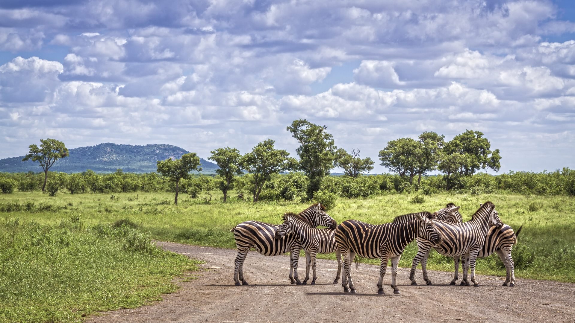 Kruger Nationalpark