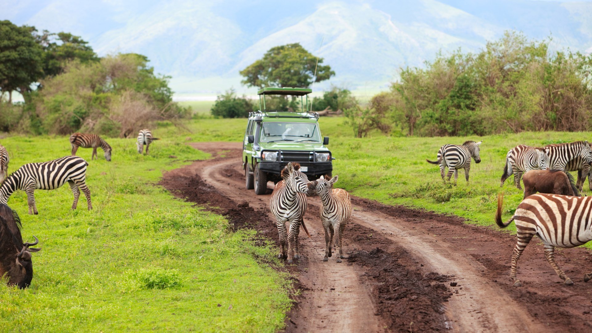 Ngorongoro Nationalpark