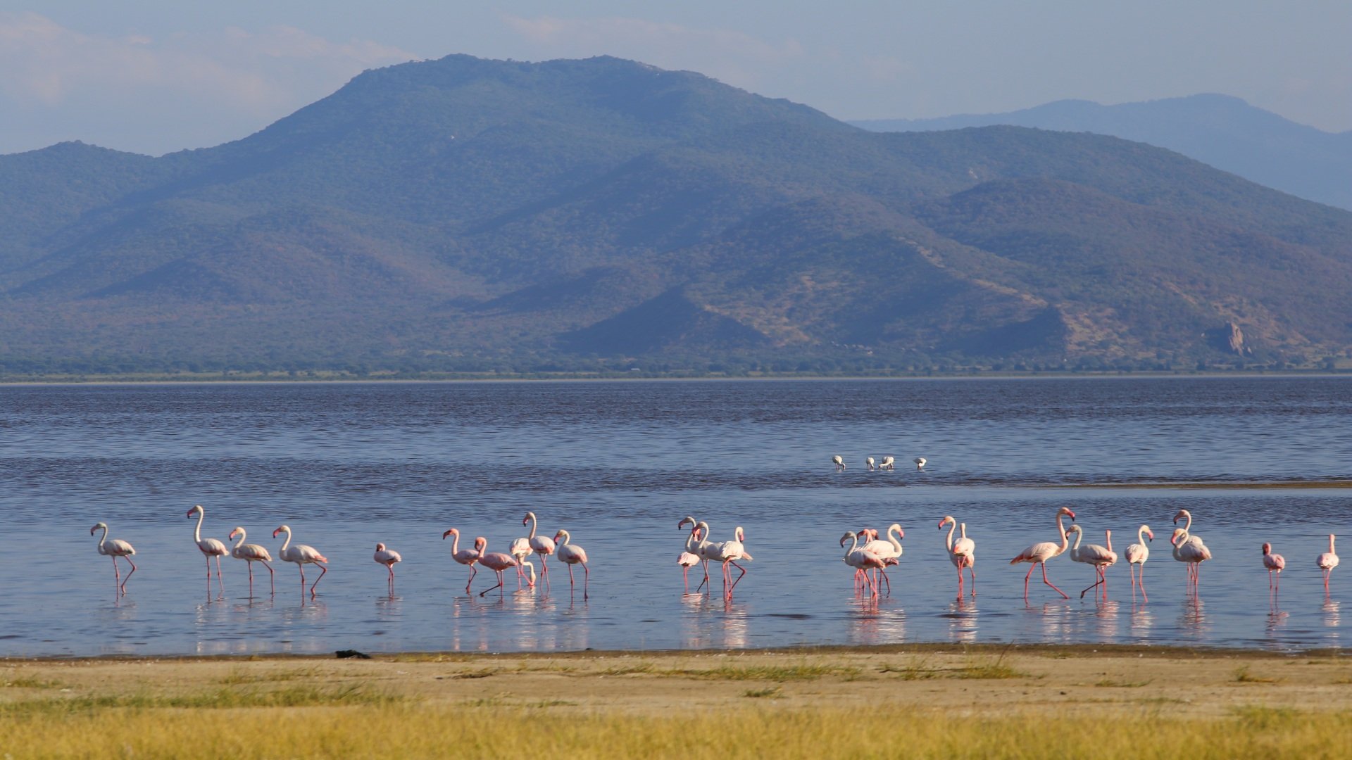 Lake Manyara Nationalpark