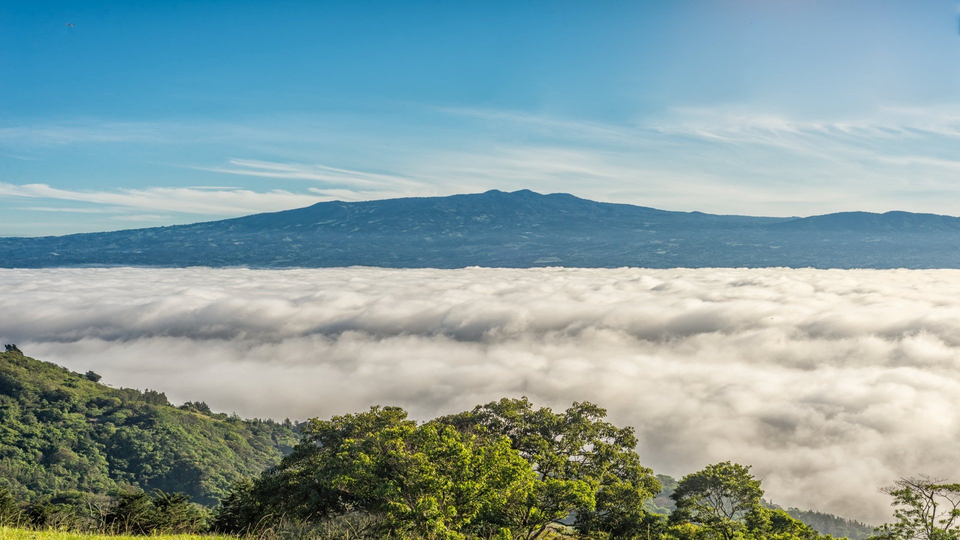 panama_poster_istock_14