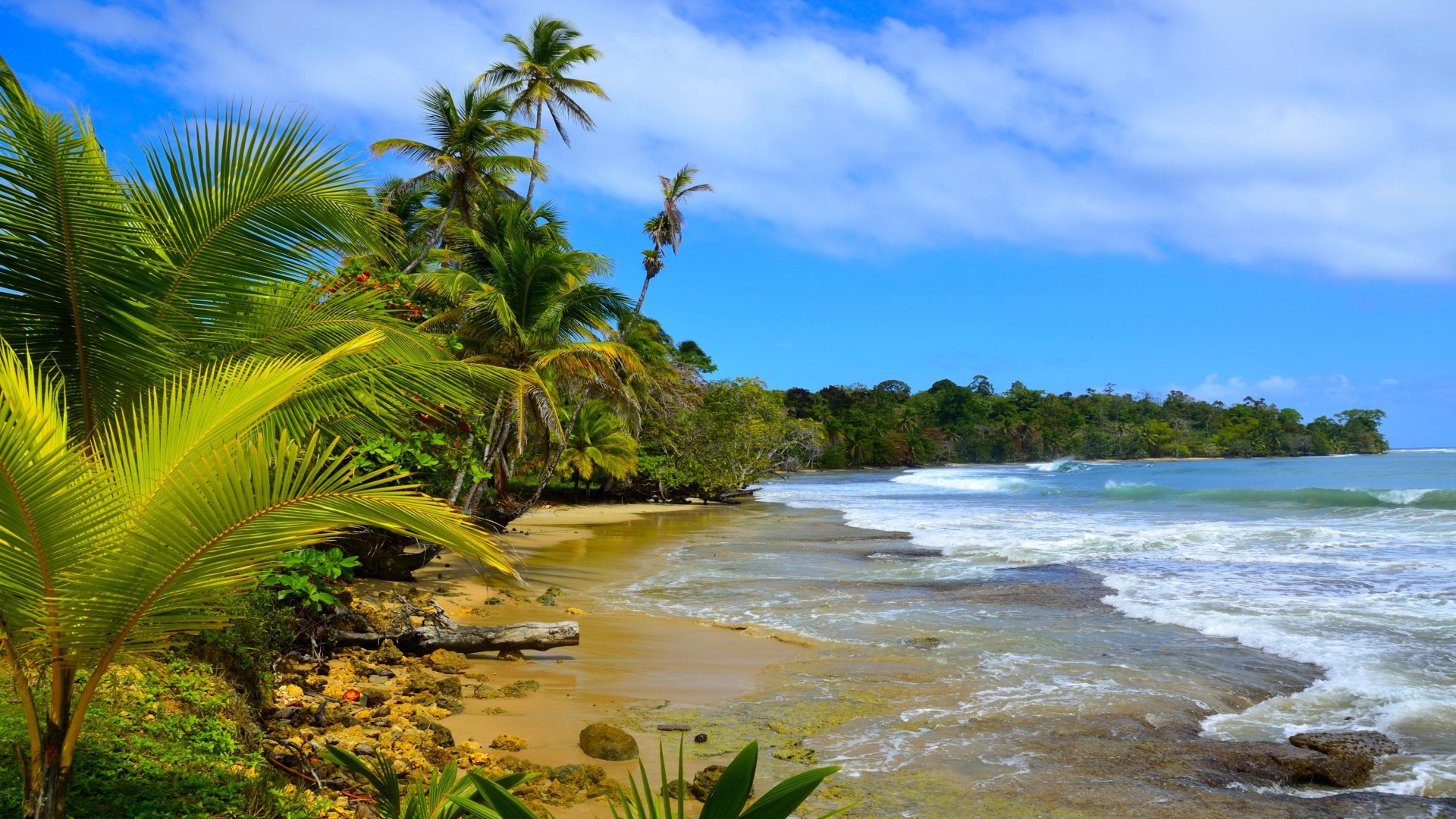 panama_poster_istock_211115_5