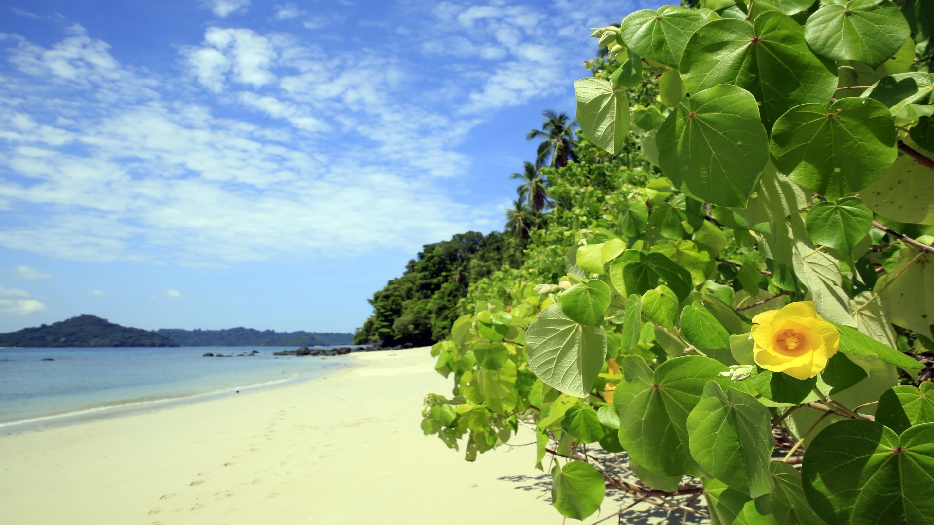panama_poster_istock_6