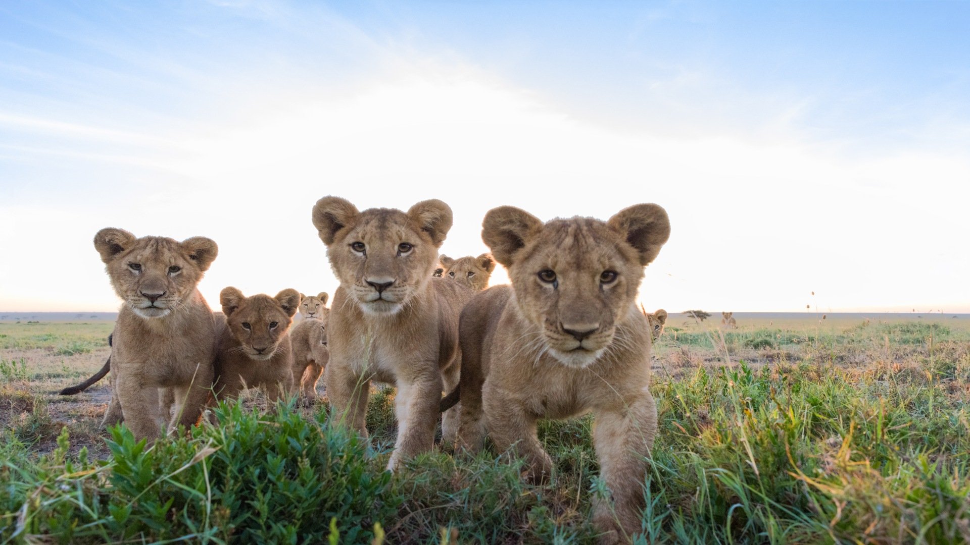 südafrika_poster_istock_211115_1