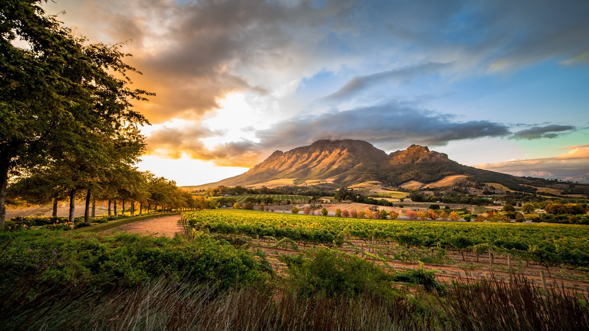 südafrika_poster_istock_211115_8