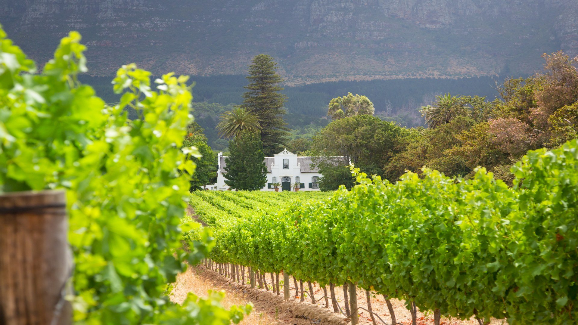 suedafrika_poster_istock_19