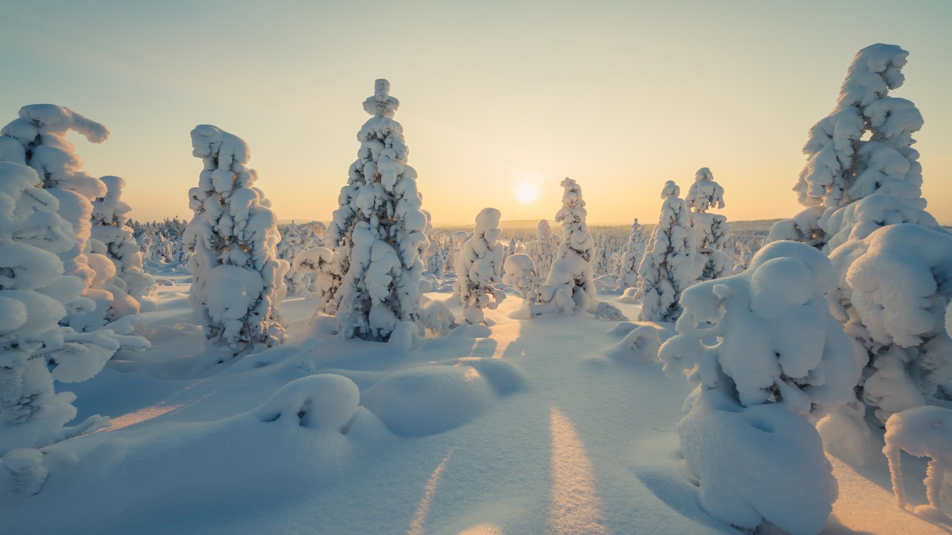 schweden_poster_istock_3