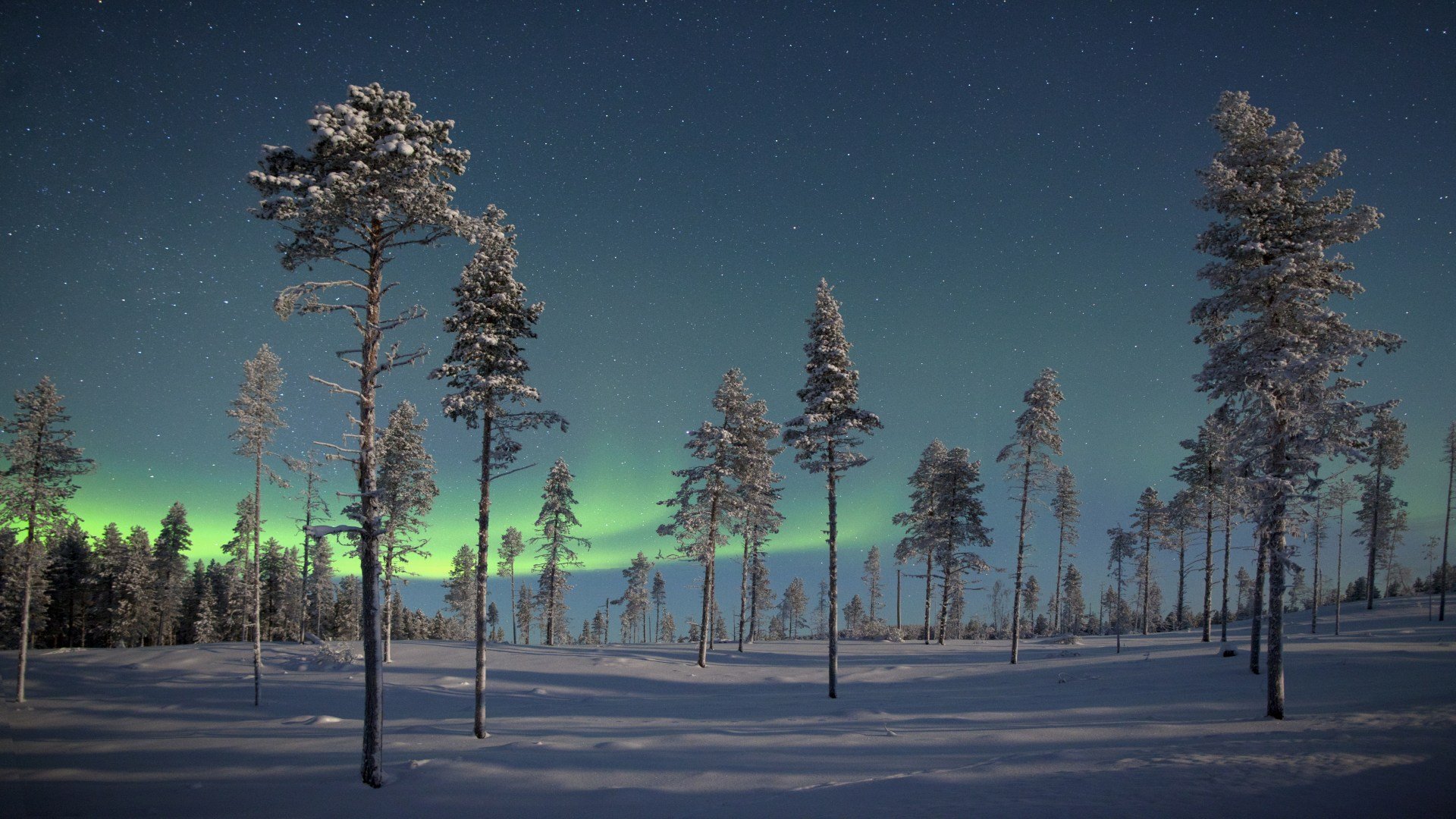 schweden_poster_istock_5