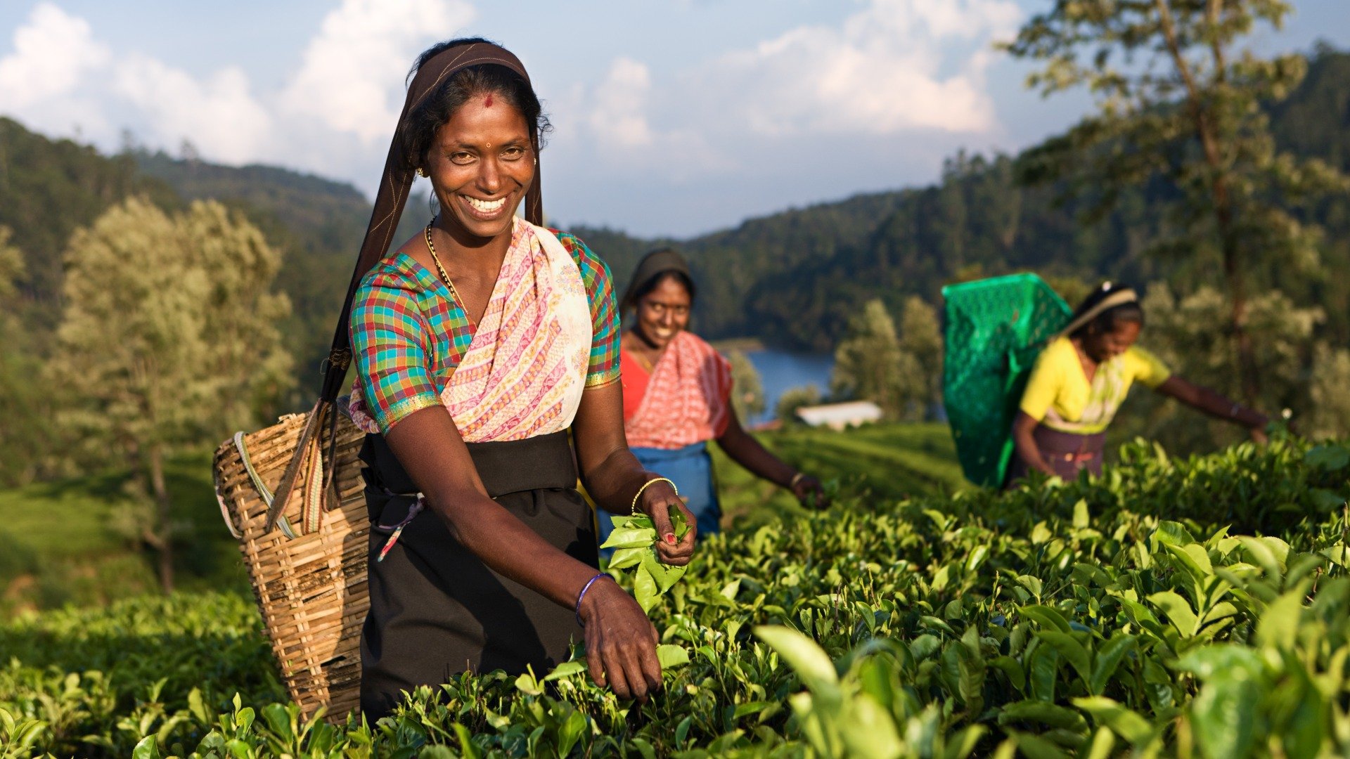 sri lanka_poster_istock_17