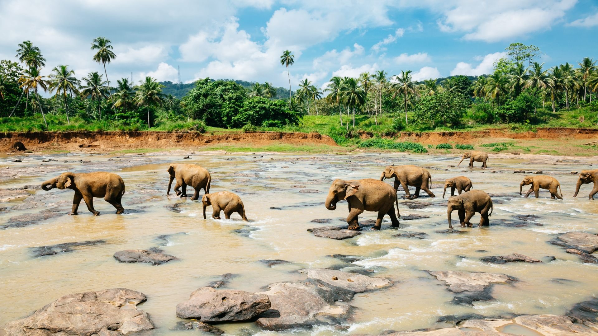 sri lanka_poster_istock_22