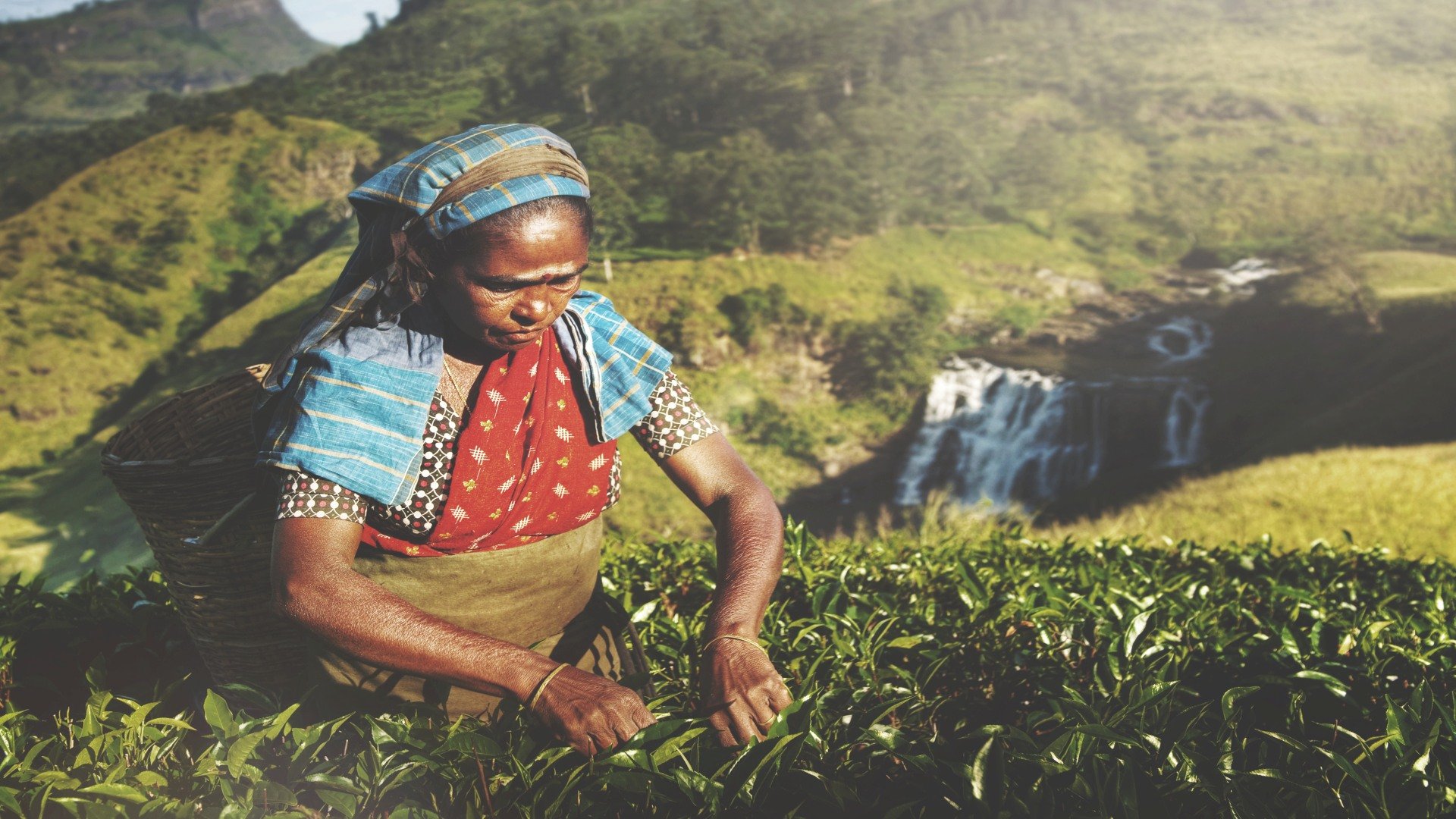 sri lanka_poster_istock_37