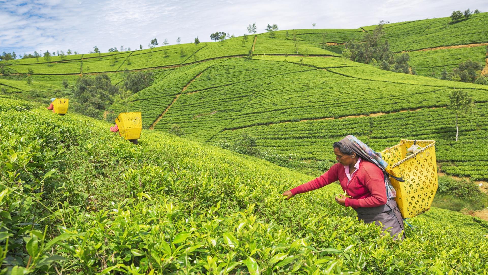 sri lanka_poster_istock_38