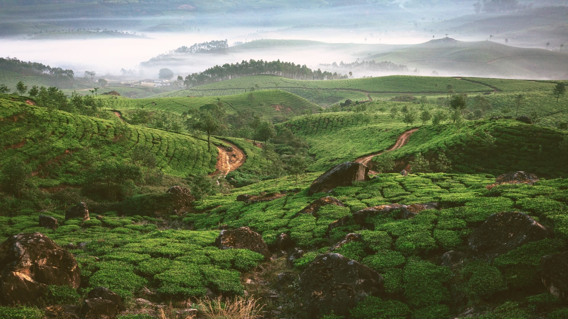 sri lanka_poster_istock_47