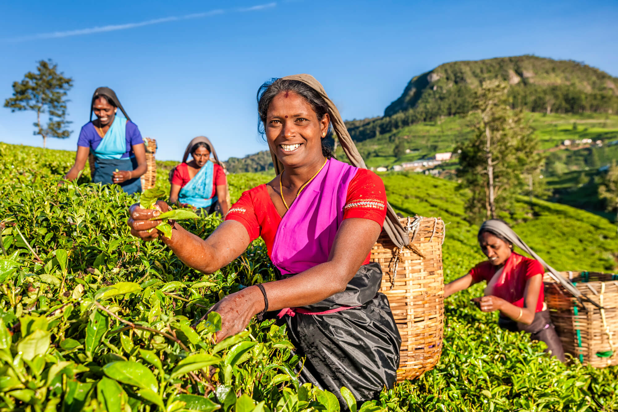 Sri Lanka