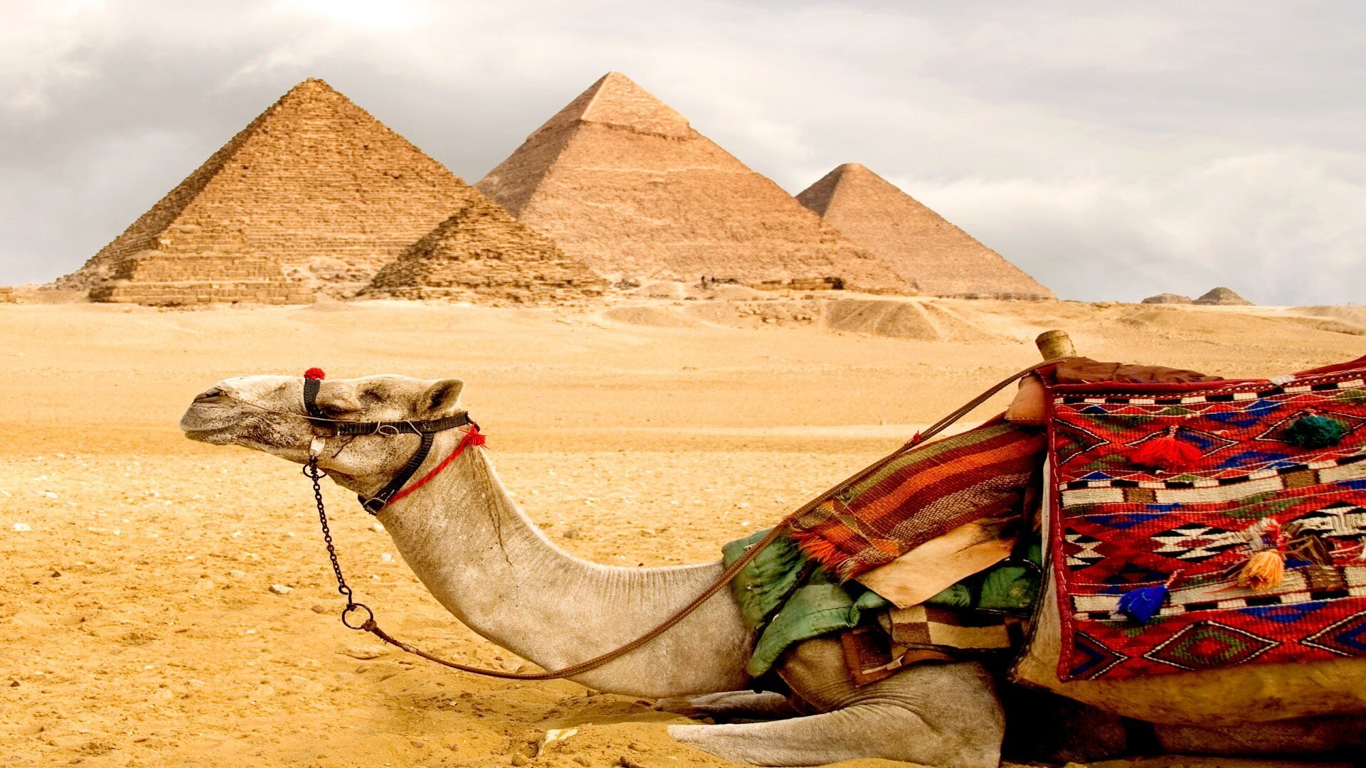 aegypten_poster_istock_2