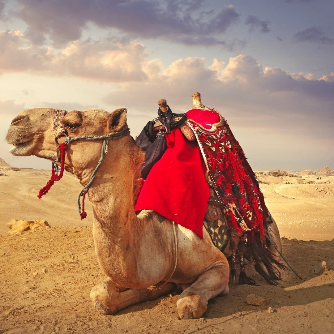 aegypten_poster_istock_6