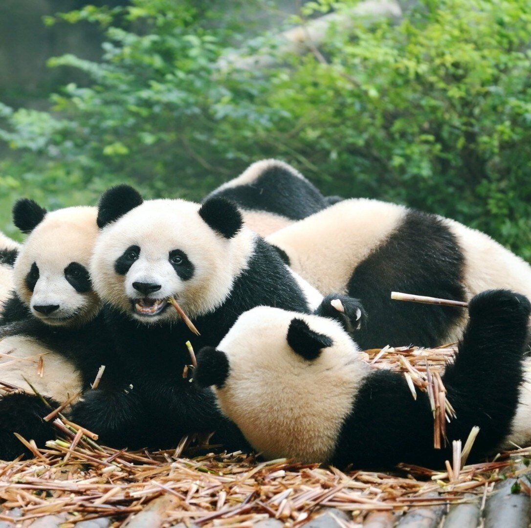 china_poster_istock_10