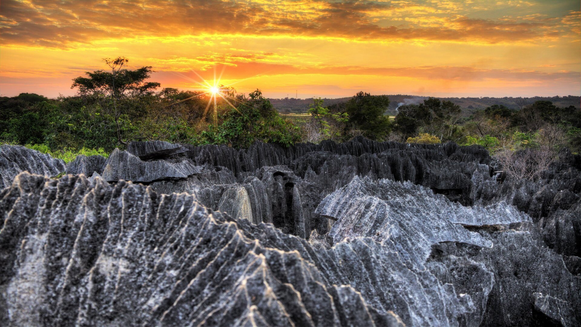 madagaskar_poster_istock_24