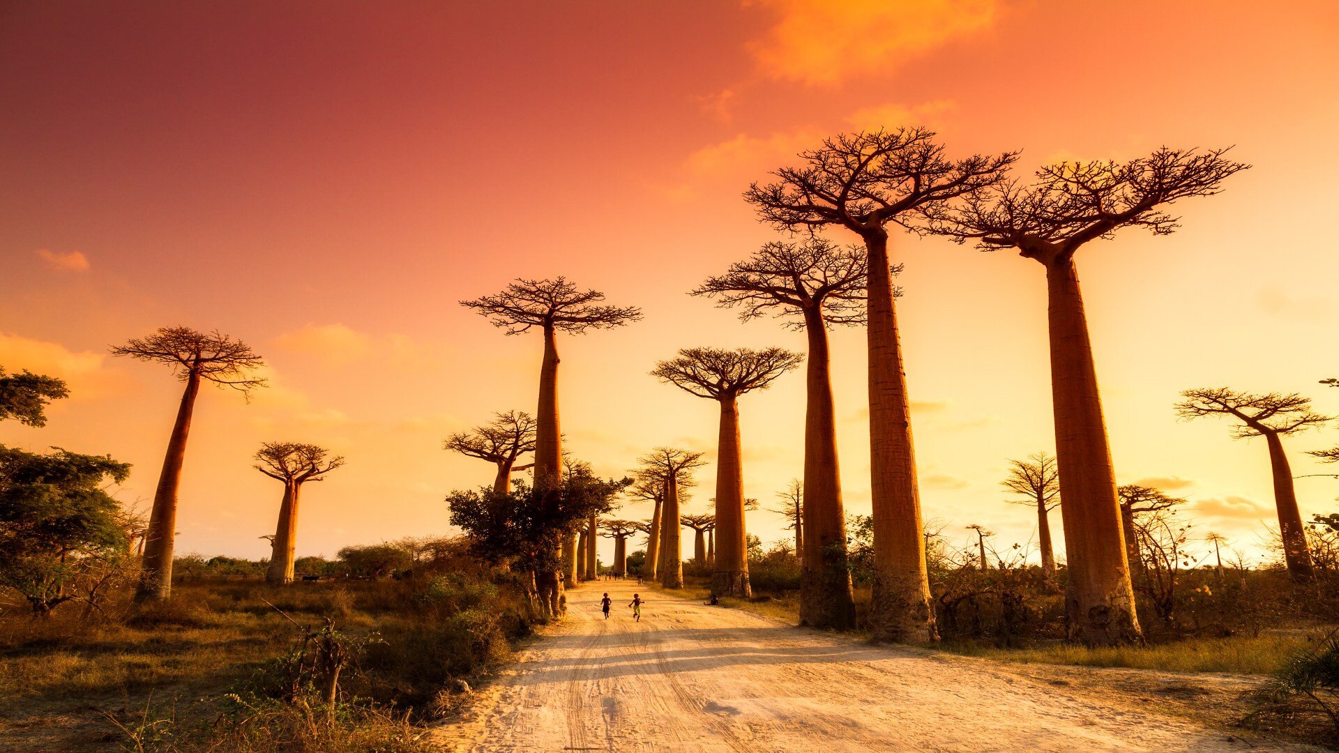 madagaskar_poster_istock_4