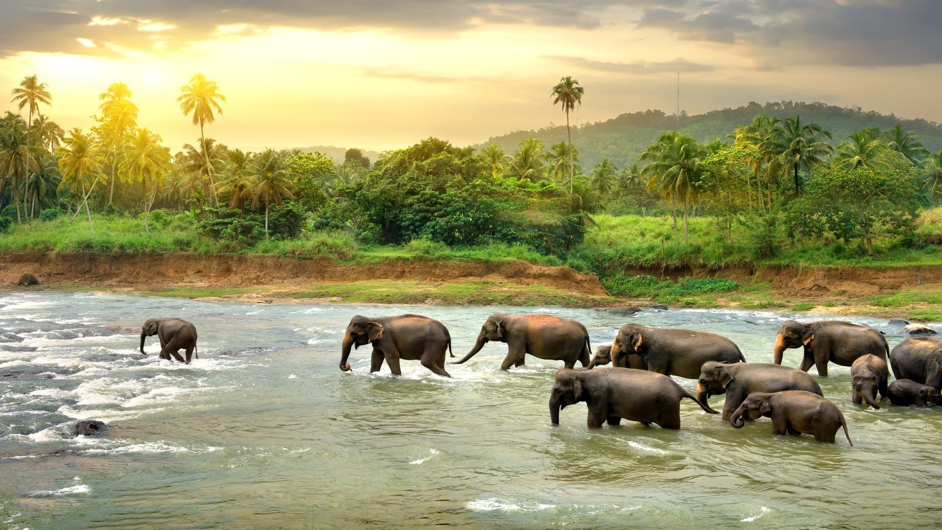 sri lanka_poster_istock_28