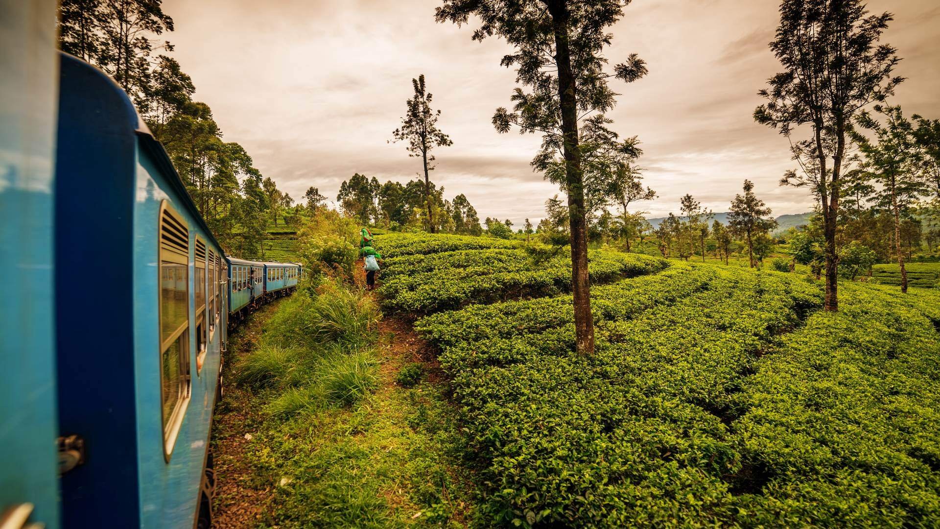 sri lanka_poster_istock_45