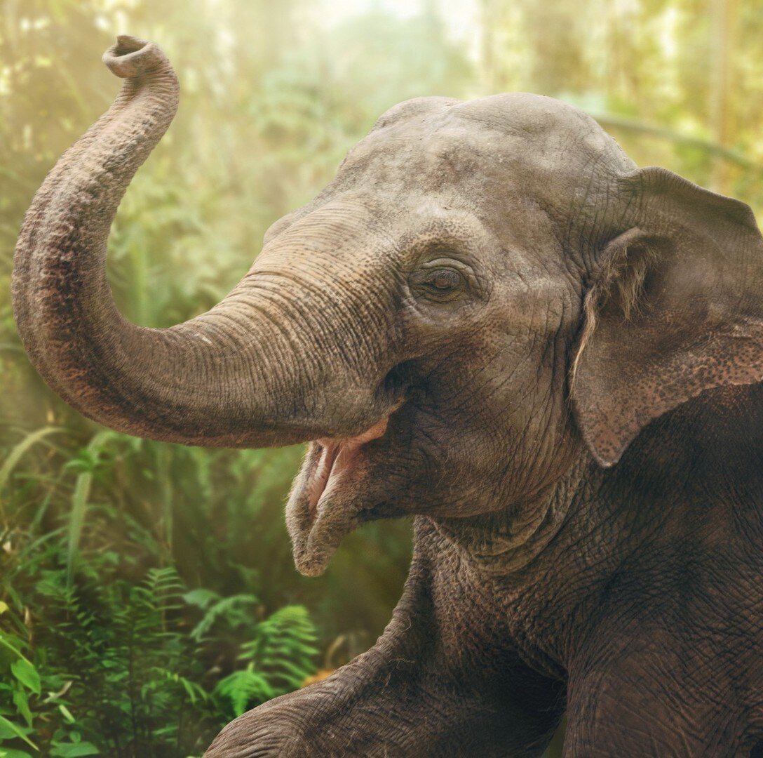 sri lanka_poster_istock_6