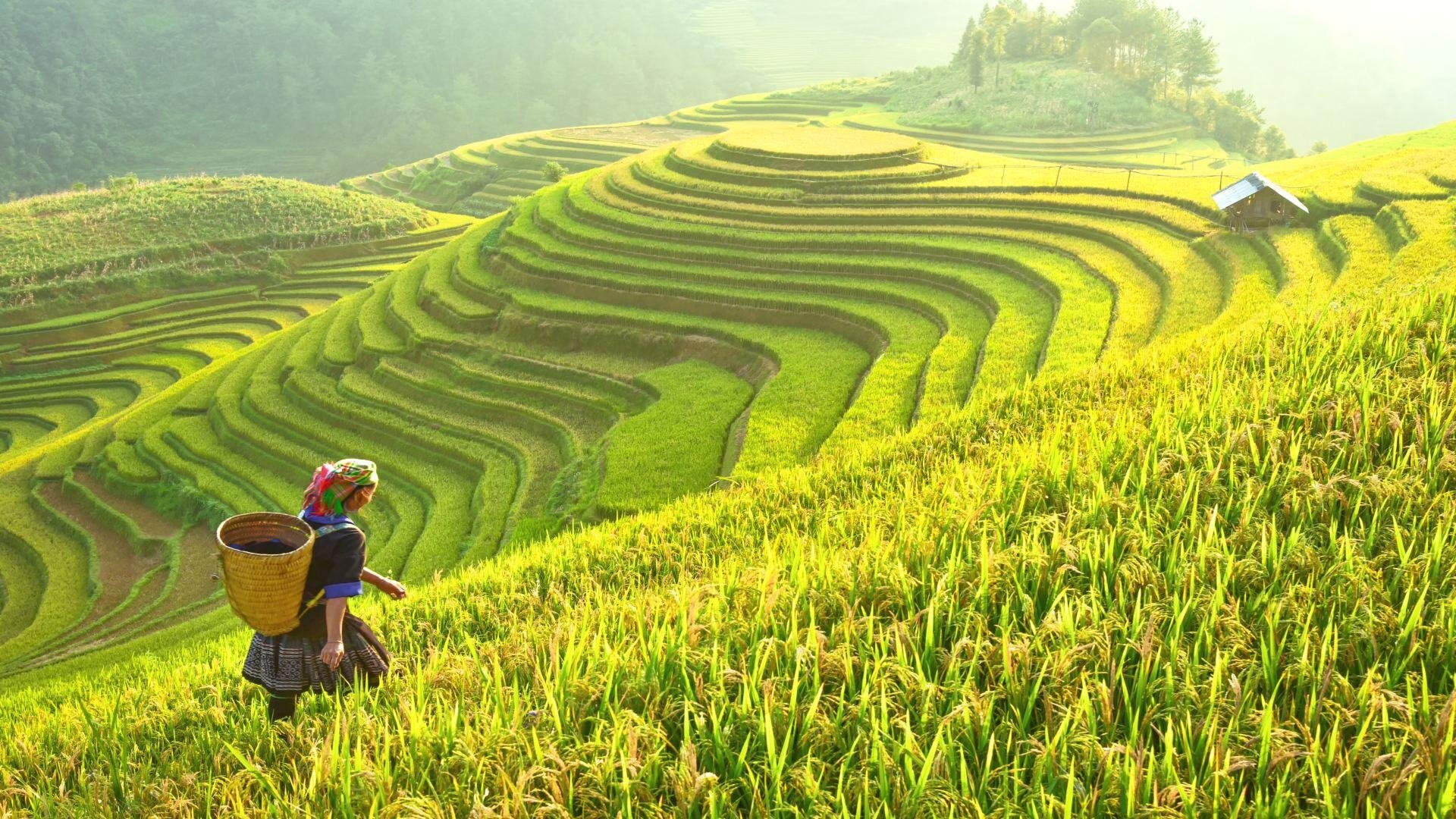 vietnam_poster_istock_13