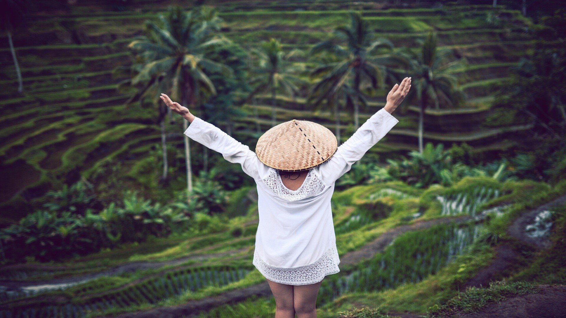 vietnam_poster_istock_14