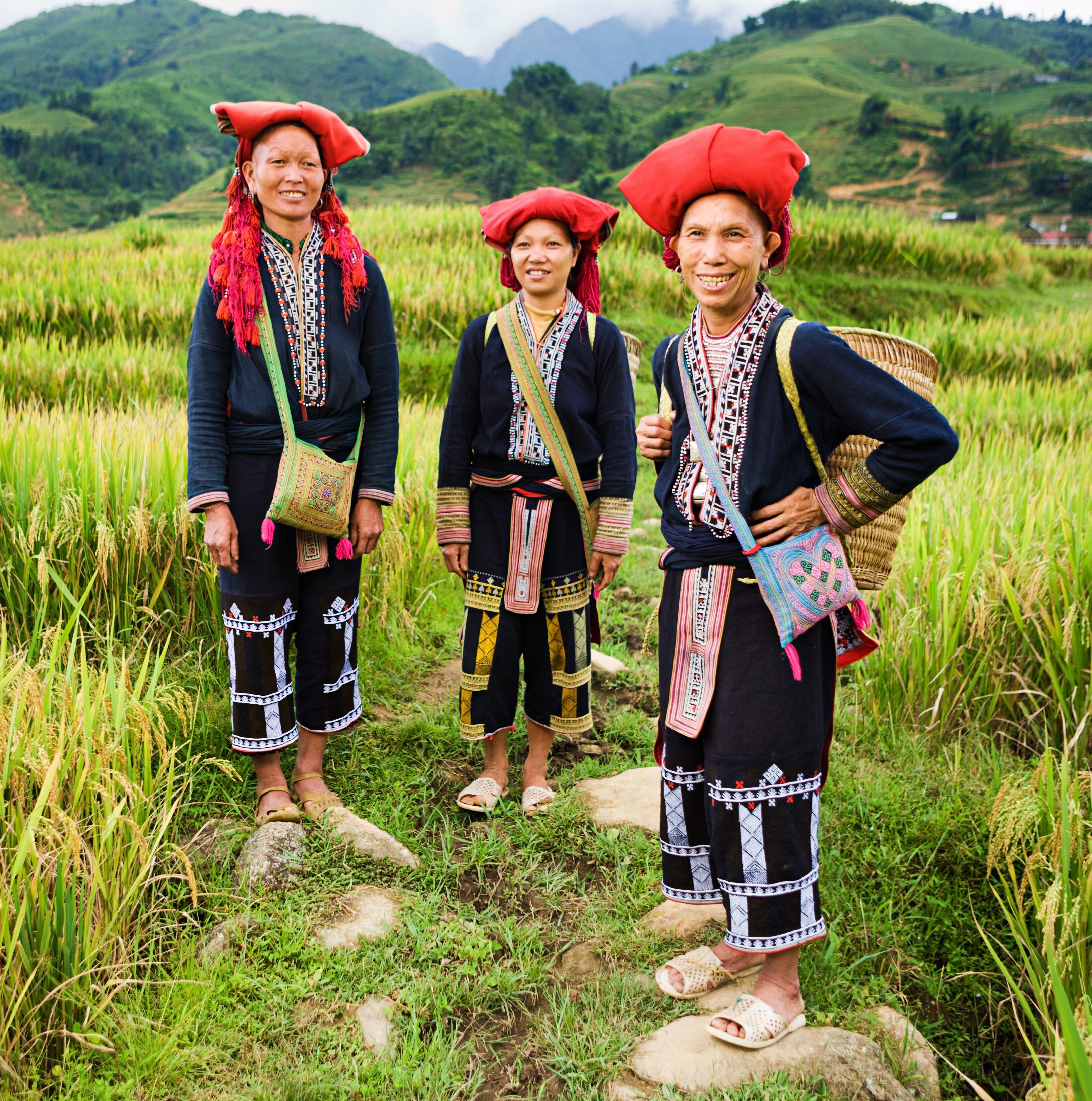 vietnam_rote dao_iStock-186826214_trip 352